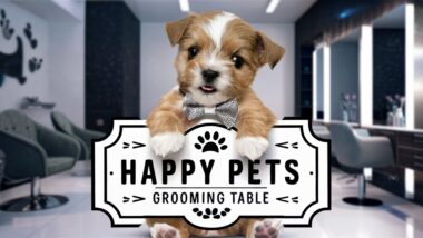 Happy Pets Grooming Table