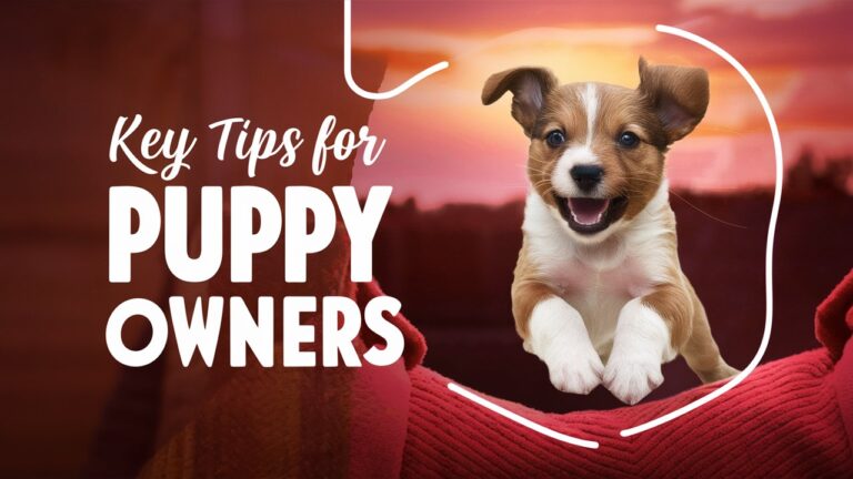 Puppy Training: Effective Techniques for a Well-Behaved Puppy