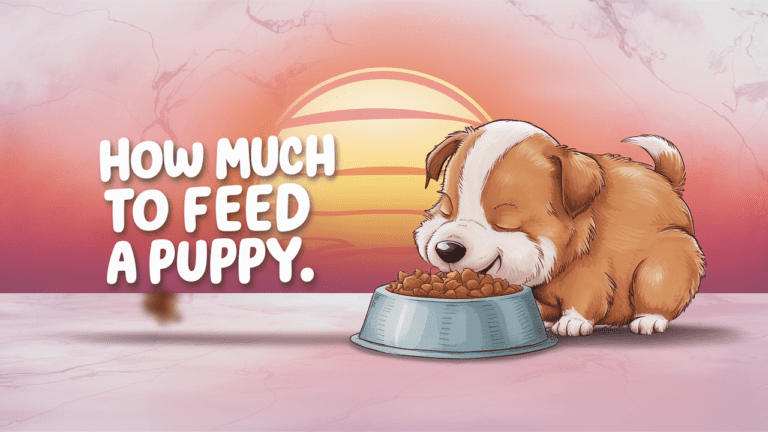 How Much To Feed A Puppy