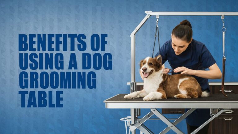 benefits of using a dog grooming table