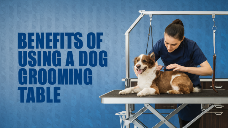 Benefits of Using a Dog Grooming Table Explained