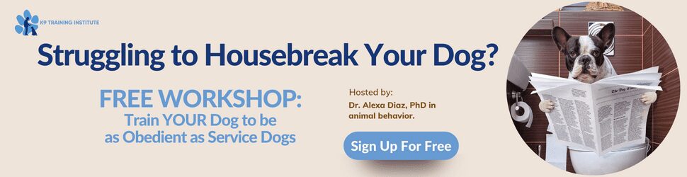 housebreak your dog