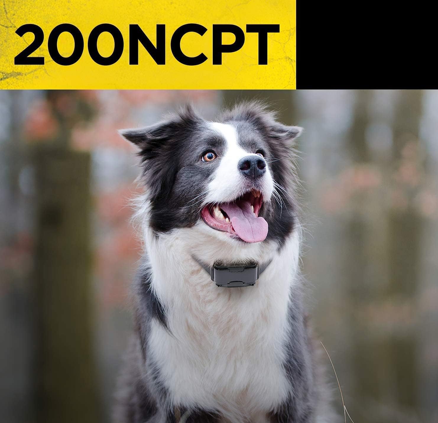 200NCPT Electronic Dog Training Collar