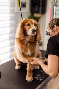 Nail Care and Ear Cleaning