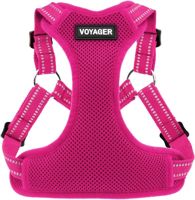 Best Pet Supplies Voyager Adjustable Dog Vest Harness Breathable No Pull Harness for Small, Medium, Large Dogs, Heavy Duty Harness for Walking, Jogging, Easy Step-In, Reflective Stripes - (Fuchsia), S