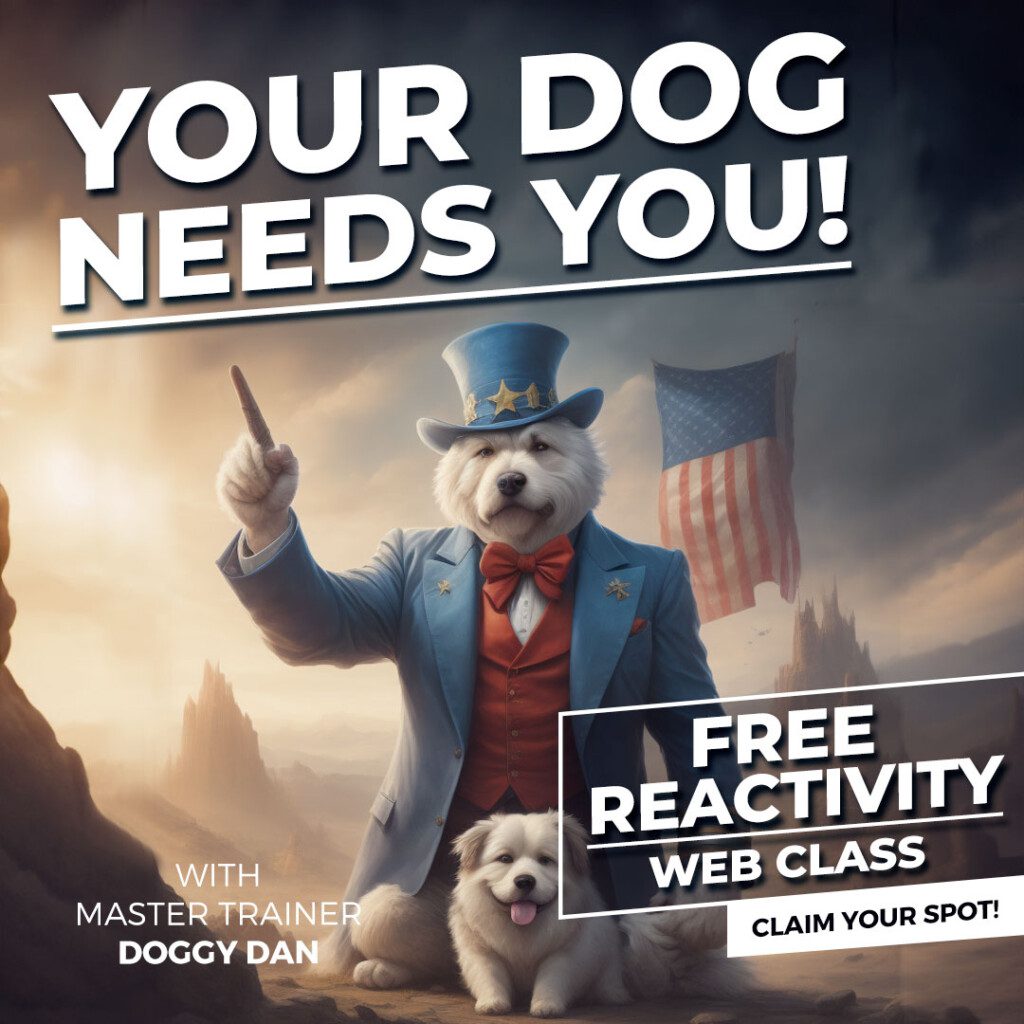 Your Dog Needs You