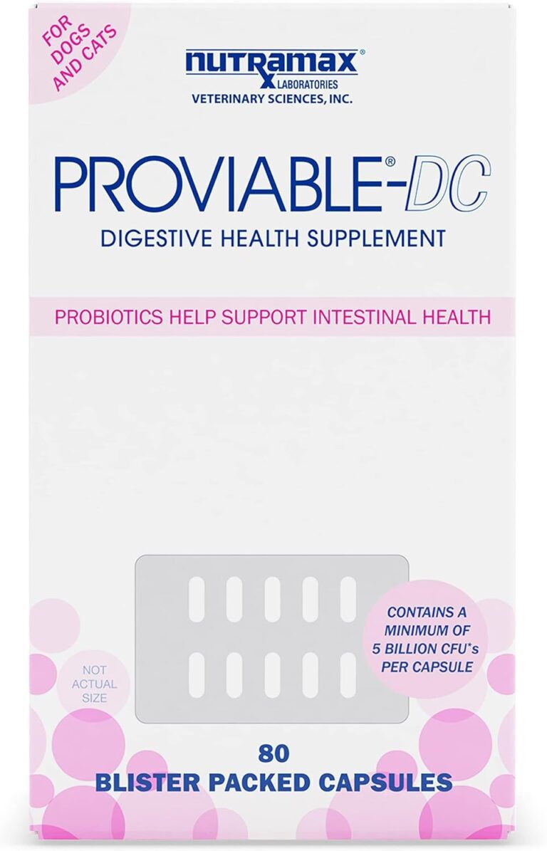 Nutramax Proviable Digestive Health Supplement Multi-Strain Probiotics and Prebiotics for Cats and Small Dogs - With 7 Strains of Bacteria, 80 Capsules