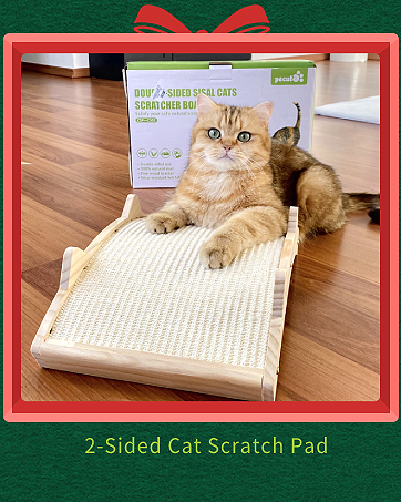 cat scratch pad